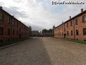 [P16] Auschwitz, pare normal, dar ceea ce s-a petrecut acolo transcede imaginabilul » foto by sunflower
 - 
<span class="allrVoted glyphicon glyphicon-heart hidden" id="av555261"></span>
<a class="m-l-10 hidden" id="sv555261" onclick="voting_Foto_DelVot(,555261,11696)" role="button">șterge vot <span class="glyphicon glyphicon-remove"></span></a>
<a id="v9555261" class=" c-red"  onclick="voting_Foto_SetVot(555261)" role="button"><span class="glyphicon glyphicon-heart-empty"></span> <b>LIKE</b> = Votează poza</a> <img class="hidden"  id="f555261W9" src="/imagini/loader.gif" border="0" /><span class="AjErrMes hidden" id="e555261ErM"></span>