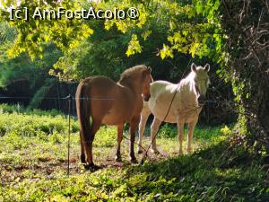 [P50] La fermă în Provence » foto by crismis
 - 
<span class="allrVoted glyphicon glyphicon-heart hidden" id="av1502519"></span>
<a class="m-l-10 hidden" id="sv1502519" onclick="voting_Foto_DelVot(,1502519,11696)" role="button">șterge vot <span class="glyphicon glyphicon-remove"></span></a>
<a id="v91502519" class=" c-red"  onclick="voting_Foto_SetVot(1502519)" role="button"><span class="glyphicon glyphicon-heart-empty"></span> <b>LIKE</b> = Votează poza</a> <img class="hidden"  id="f1502519W9" src="/imagini/loader.gif" border="0" /><span class="AjErrMes hidden" id="e1502519ErM"></span>