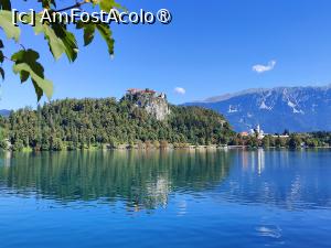 [P08] Lacul și castelul Bled » foto by crismis
 - 
<span class="allrVoted glyphicon glyphicon-heart hidden" id="av1502480"></span>
<a class="m-l-10 hidden" id="sv1502480" onclick="voting_Foto_DelVot(,1502480,11696)" role="button">șterge vot <span class="glyphicon glyphicon-remove"></span></a>
<a id="v91502480" class=" c-red"  onclick="voting_Foto_SetVot(1502480)" role="button"><span class="glyphicon glyphicon-heart-empty"></span> <b>LIKE</b> = Votează poza</a> <img class="hidden"  id="f1502480W9" src="/imagini/loader.gif" border="0" /><span class="AjErrMes hidden" id="e1502480ErM"></span>