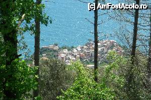 [P14] Cinque Terre - de sus » foto by georgerizescu
 - 
<span class="allrVoted glyphicon glyphicon-heart hidden" id="av481115"></span>
<a class="m-l-10 hidden" id="sv481115" onclick="voting_Foto_DelVot(,481115,11696)" role="button">șterge vot <span class="glyphicon glyphicon-remove"></span></a>
<a id="v9481115" class=" c-red"  onclick="voting_Foto_SetVot(481115)" role="button"><span class="glyphicon glyphicon-heart-empty"></span> <b>LIKE</b> = Votează poza</a> <img class="hidden"  id="f481115W9" src="/imagini/loader.gif" border="0" /><span class="AjErrMes hidden" id="e481115ErM"></span>