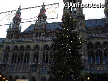 [P18] Viena - Targul de Craciun din  fata Primarie - bradul » foto by Diaura*
 - 
<span class="allrVoted glyphicon glyphicon-heart hidden" id="av284519"></span>
<a class="m-l-10 hidden" id="sv284519" onclick="voting_Foto_DelVot(,284519,11696)" role="button">șterge vot <span class="glyphicon glyphicon-remove"></span></a>
<a id="v9284519" class=" c-red"  onclick="voting_Foto_SetVot(284519)" role="button"><span class="glyphicon glyphicon-heart-empty"></span> <b>LIKE</b> = Votează poza</a> <img class="hidden"  id="f284519W9" src="/imagini/loader.gif" border="0" /><span class="AjErrMes hidden" id="e284519ErM"></span>