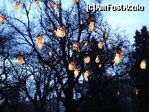 [P19] Viena - Targul de Craciun din  fata Primarie - copacul cu oameni de zapada » foto by Diaura*
 - 
<span class="allrVoted glyphicon glyphicon-heart hidden" id="av284520"></span>
<a class="m-l-10 hidden" id="sv284520" onclick="voting_Foto_DelVot(,284520,11696)" role="button">șterge vot <span class="glyphicon glyphicon-remove"></span></a>
<a id="v9284520" class=" c-red"  onclick="voting_Foto_SetVot(284520)" role="button"><span class="glyphicon glyphicon-heart-empty"></span> <b>LIKE</b> = Votează poza</a> <img class="hidden"  id="f284520W9" src="/imagini/loader.gif" border="0" /><span class="AjErrMes hidden" id="e284520ErM"></span>