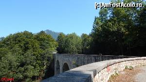 [P05] Peisaj din Tirolul german, în drum spre Berchtesgaden » foto by Costi
 - 
<span class="allrVoted glyphicon glyphicon-heart hidden" id="av660290"></span>
<a class="m-l-10 hidden" id="sv660290" onclick="voting_Foto_DelVot(,660290,11696)" role="button">șterge vot <span class="glyphicon glyphicon-remove"></span></a>
<a id="v9660290" class=" c-red"  onclick="voting_Foto_SetVot(660290)" role="button"><span class="glyphicon glyphicon-heart-empty"></span> <b>LIKE</b> = Votează poza</a> <img class="hidden"  id="f660290W9" src="/imagini/loader.gif" border="0" /><span class="AjErrMes hidden" id="e660290ErM"></span>