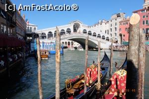 [P13] Venetia - podul Rialto » foto by nickro
 - 
<span class="allrVoted glyphicon glyphicon-heart hidden" id="av898855"></span>
<a class="m-l-10 hidden" id="sv898855" onclick="voting_Foto_DelVot(,898855,11696)" role="button">șterge vot <span class="glyphicon glyphicon-remove"></span></a>
<a id="v9898855" class=" c-red"  onclick="voting_Foto_SetVot(898855)" role="button"><span class="glyphicon glyphicon-heart-empty"></span> <b>LIKE</b> = Votează poza</a> <img class="hidden"  id="f898855W9" src="/imagini/loader.gif" border="0" /><span class="AjErrMes hidden" id="e898855ErM"></span>