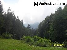 [P01] LA poalele Fagarasului... » foto by georgiana
 - 
<span class="allrVoted glyphicon glyphicon-heart hidden" id="av102864"></span>
<a class="m-l-10 hidden" id="sv102864" onclick="voting_Foto_DelVot(,102864,11727)" role="button">șterge vot <span class="glyphicon glyphicon-remove"></span></a>
<a id="v9102864" class=" c-red"  onclick="voting_Foto_SetVot(102864)" role="button"><span class="glyphicon glyphicon-heart-empty"></span> <b>LIKE</b> = Votează poza</a> <img class="hidden"  id="f102864W9" src="/imagini/loader.gif" border="0" /><span class="AjErrMes hidden" id="e102864ErM"></span>