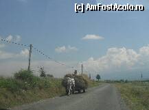 [P06] Urmasul lui Badea Cartan... » foto by georgiana
 - 
<span class="allrVoted glyphicon glyphicon-heart hidden" id="av102879"></span>
<a class="m-l-10 hidden" id="sv102879" onclick="voting_Foto_DelVot(,102879,11727)" role="button">șterge vot <span class="glyphicon glyphicon-remove"></span></a>
<a id="v9102879" class=" c-red"  onclick="voting_Foto_SetVot(102879)" role="button"><span class="glyphicon glyphicon-heart-empty"></span> <b>LIKE</b> = Votează poza</a> <img class="hidden"  id="f102879W9" src="/imagini/loader.gif" border="0" /><span class="AjErrMes hidden" id="e102879ErM"></span>