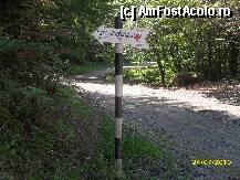 [P09] Drumul care duce la Cabana Barcaciului. » foto by georgiana
 - 
<span class="allrVoted glyphicon glyphicon-heart hidden" id="av102892"></span>
<a class="m-l-10 hidden" id="sv102892" onclick="voting_Foto_DelVot(,102892,11727)" role="button">șterge vot <span class="glyphicon glyphicon-remove"></span></a>
<a id="v9102892" class=" c-red"  onclick="voting_Foto_SetVot(102892)" role="button"><span class="glyphicon glyphicon-heart-empty"></span> <b>LIKE</b> = Votează poza</a> <img class="hidden"  id="f102892W9" src="/imagini/loader.gif" border="0" /><span class="AjErrMes hidden" id="e102892ErM"></span>