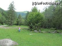 [P03] Minunata Vale si Buni a noastra aducand lemne, inca eram singuri in poiana. Mai sus, la 300m se afla Poiana Neamtului. » foto by AndreeaG
 - 
<span class="allrVoted glyphicon glyphicon-heart hidden" id="av327957"></span>
<a class="m-l-10 hidden" id="sv327957" onclick="voting_Foto_DelVot(,327957,11727)" role="button">șterge vot <span class="glyphicon glyphicon-remove"></span></a>
<a id="v9327957" class=" c-red"  onclick="voting_Foto_SetVot(327957)" role="button"><span class="glyphicon glyphicon-heart-empty"></span> <b>LIKE</b> = Votează poza</a> <img class="hidden"  id="f327957W9" src="/imagini/loader.gif" border="0" /><span class="AjErrMes hidden" id="e327957ErM"></span>