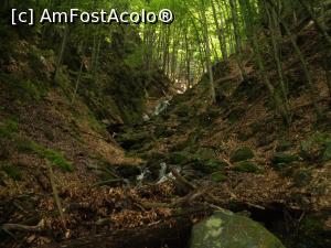 [P20] Sălbăticie- o zona sălbatică în valea Rusca(te papă ursu..) » foto by AZE
 - 
<span class="allrVoted glyphicon glyphicon-heart hidden" id="av897070"></span>
<a class="m-l-10 hidden" id="sv897070" onclick="voting_Foto_DelVot(,897070,11727)" role="button">șterge vot <span class="glyphicon glyphicon-remove"></span></a>
<a id="v9897070" class=" c-red"  onclick="voting_Foto_SetVot(897070)" role="button"><span class="glyphicon glyphicon-heart-empty"></span> <b>LIKE</b> = Votează poza</a> <img class="hidden"  id="f897070W9" src="/imagini/loader.gif" border="0" /><span class="AjErrMes hidden" id="e897070ErM"></span>
