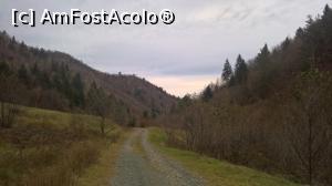 [P39] Valea intermediara de pe langa valea Moasei » foto by AZE
 - 
<span class="allrVoted glyphicon glyphicon-heart hidden" id="av920691"></span>
<a class="m-l-10 hidden" id="sv920691" onclick="voting_Foto_DelVot(,920691,11727)" role="button">șterge vot <span class="glyphicon glyphicon-remove"></span></a>
<a id="v9920691" class=" c-red"  onclick="voting_Foto_SetVot(920691)" role="button"><span class="glyphicon glyphicon-heart-empty"></span> <b>LIKE</b> = Votează poza</a> <img class="hidden"  id="f920691W9" src="/imagini/loader.gif" border="0" /><span class="AjErrMes hidden" id="e920691ErM"></span>
