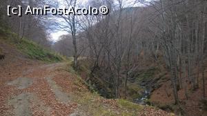 [P56] Acum cativa ani aici era o carare ingusta » foto by AZE
 - 
<span class="allrVoted glyphicon glyphicon-heart hidden" id="av920708"></span>
<a class="m-l-10 hidden" id="sv920708" onclick="voting_Foto_DelVot(,920708,11727)" role="button">șterge vot <span class="glyphicon glyphicon-remove"></span></a>
<a id="v9920708" class=" c-red"  onclick="voting_Foto_SetVot(920708)" role="button"><span class="glyphicon glyphicon-heart-empty"></span> <b>LIKE</b> = Votează poza</a> <img class="hidden"  id="f920708W9" src="/imagini/loader.gif" border="0" /><span class="AjErrMes hidden" id="e920708ErM"></span>