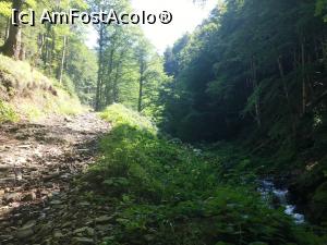[P09] Încă se mai văd urmele defrișărilor de exemplu poteca a fost lărgită pentru a putea circula utilajele » foto by AZE
 - 
<span class="allrVoted glyphicon glyphicon-heart hidden" id="av1123072"></span>
<a class="m-l-10 hidden" id="sv1123072" onclick="voting_Foto_DelVot(,1123072,11727)" role="button">șterge vot <span class="glyphicon glyphicon-remove"></span></a>
<a id="v91123072" class=" c-red"  onclick="voting_Foto_SetVot(1123072)" role="button"><span class="glyphicon glyphicon-heart-empty"></span> <b>LIKE</b> = Votează poza</a> <img class="hidden"  id="f1123072W9" src="/imagini/loader.gif" border="0" /><span class="AjErrMes hidden" id="e1123072ErM"></span>
