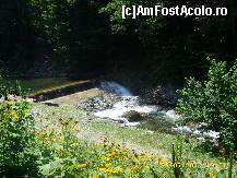 [P16] o mica cascada pe raul mare al avrigului » foto by raduu1972
 - 
<span class="allrVoted glyphicon glyphicon-heart hidden" id="av114906"></span>
<a class="m-l-10 hidden" id="sv114906" onclick="voting_Foto_DelVot(,114906,11727)" role="button">șterge vot <span class="glyphicon glyphicon-remove"></span></a>
<a id="v9114906" class=" c-red"  onclick="voting_Foto_SetVot(114906)" role="button"><span class="glyphicon glyphicon-heart-empty"></span> <b>LIKE</b> = Votează poza</a> <img class="hidden"  id="f114906W9" src="/imagini/loader.gif" border="0" /><span class="AjErrMes hidden" id="e114906ErM"></span>