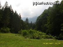 [P23] o poienita foarte buna pentru campare » foto by raduu1972
 - 
<span class="allrVoted glyphicon glyphicon-heart hidden" id="av114915"></span>
<a class="m-l-10 hidden" id="sv114915" onclick="voting_Foto_DelVot(,114915,11727)" role="button">șterge vot <span class="glyphicon glyphicon-remove"></span></a>
<a id="v9114915" class=" c-red"  onclick="voting_Foto_SetVot(114915)" role="button"><span class="glyphicon glyphicon-heart-empty"></span> <b>LIKE</b> = Votează poza</a> <img class="hidden"  id="f114915W9" src="/imagini/loader.gif" border="0" /><span class="AjErrMes hidden" id="e114915ErM"></span>