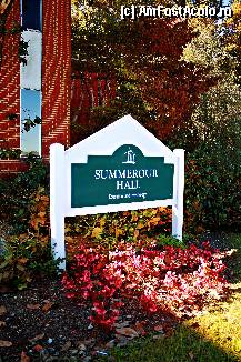 [P20]  -- <small>// FĂRĂ DESCRIERE</small> » foto by doriana_s
 - 
<span class="allrVoted glyphicon glyphicon-heart hidden" id="av328903"></span>
<a class="m-l-10 hidden" id="sv328903" onclick="voting_Foto_DelVot(,328903,11738)" role="button">șterge vot <span class="glyphicon glyphicon-remove"></span></a>
<a id="v9328903" class=" c-red"  onclick="voting_Foto_SetVot(328903)" role="button"><span class="glyphicon glyphicon-heart-empty"></span> <b>LIKE</b> = Votează poza</a> <img class="hidden"  id="f328903W9" src="/imagini/loader.gif" border="0" /><span class="AjErrMes hidden" id="e328903ErM"></span>