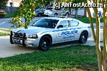 [P25]  -- <small>// FĂRĂ DESCRIERE</small> » foto by doriana_s
 - 
<span class="allrVoted glyphicon glyphicon-heart hidden" id="av328921"></span>
<a class="m-l-10 hidden" id="sv328921" onclick="voting_Foto_DelVot(,328921,11738)" role="button">șterge vot <span class="glyphicon glyphicon-remove"></span></a>
<a id="v9328921" class=" c-red"  onclick="voting_Foto_SetVot(328921)" role="button"><span class="glyphicon glyphicon-heart-empty"></span> <b>LIKE</b> = Votează poza</a> <img class="hidden"  id="f328921W9" src="/imagini/loader.gif" border="0" /><span class="AjErrMes hidden" id="e328921ErM"></span>