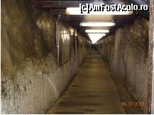 [P04] Tunel bine luminat » foto by iccata
 - 
<span class="allrVoted glyphicon glyphicon-heart hidden" id="av455511"></span>
<a class="m-l-10 hidden" id="sv455511" onclick="voting_Foto_DelVot(,455511,11779)" role="button">șterge vot <span class="glyphicon glyphicon-remove"></span></a>
<a id="v9455511" class=" c-red"  onclick="voting_Foto_SetVot(455511)" role="button"><span class="glyphicon glyphicon-heart-empty"></span> <b>LIKE</b> = Votează poza</a> <img class="hidden"  id="f455511W9" src="/imagini/loader.gif" border="0" /><span class="AjErrMes hidden" id="e455511ErM"></span>