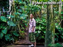 [P12] Camera padurii tropicale - CosmoCaixa, partea 2 » foto by C05T1N
 - 
<span class="allrVoted glyphicon glyphicon-heart hidden" id="av107497"></span>
<a class="m-l-10 hidden" id="sv107497" onclick="voting_Foto_DelVot(,107497,11796)" role="button">șterge vot <span class="glyphicon glyphicon-remove"></span></a>
<a id="v9107497" class=" c-red"  onclick="voting_Foto_SetVot(107497)" role="button"><span class="glyphicon glyphicon-heart-empty"></span> <b>LIKE</b> = Votează poza</a> <img class="hidden"  id="f107497W9" src="/imagini/loader.gif" border="0" /><span class="AjErrMes hidden" id="e107497ErM"></span>