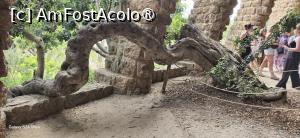 [P15] 15. Punctul de atracție în Viaductul lui Mig  este un roșcov bătrân, păstrat de Gaudi în mijlocul construcției. » foto by msnd
 - 
<span class="allrVoted glyphicon glyphicon-heart hidden" id="av1442293"></span>
<a class="m-l-10 hidden" id="sv1442293" onclick="voting_Foto_DelVot(,1442293,11798)" role="button">șterge vot <span class="glyphicon glyphicon-remove"></span></a>
<a id="v91442293" class=" c-red"  onclick="voting_Foto_SetVot(1442293)" role="button"><span class="glyphicon glyphicon-heart-empty"></span> <b>LIKE</b> = Votează poza</a> <img class="hidden"  id="f1442293W9" src="/imagini/loader.gif" border="0" /><span class="AjErrMes hidden" id="e1442293ErM"></span>