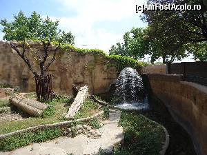 [P10] Grădina Zoologică din Barcelona » foto by DepartureGate7
 - 
<span class="allrVoted glyphicon glyphicon-heart hidden" id="av615646"></span>
<a class="m-l-10 hidden" id="sv615646" onclick="voting_Foto_DelVot(,615646,11799)" role="button">șterge vot <span class="glyphicon glyphicon-remove"></span></a>
<a id="v9615646" class=" c-red"  onclick="voting_Foto_SetVot(615646)" role="button"><span class="glyphicon glyphicon-heart-empty"></span> <b>LIKE</b> = Votează poza</a> <img class="hidden"  id="f615646W9" src="/imagini/loader.gif" border="0" /><span class="AjErrMes hidden" id="e615646ErM"></span>