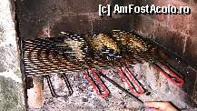 [P01] Pastrav foarte bun la gratar!  » foto by dariamara
 - 
<span class="allrVoted glyphicon glyphicon-heart hidden" id="av336093"></span>
<a class="m-l-10 hidden" id="sv336093" onclick="voting_Foto_DelVot(,336093,11833)" role="button">șterge vot <span class="glyphicon glyphicon-remove"></span></a>
<a id="v9336093" class=" c-red"  onclick="voting_Foto_SetVot(336093)" role="button"><span class="glyphicon glyphicon-heart-empty"></span> <b>LIKE</b> = Votează poza</a> <img class="hidden"  id="f336093W9" src="/imagini/loader.gif" border="0" /><span class="AjErrMes hidden" id="e336093ErM"></span>