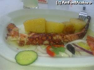 [P15] Nu ratati caracatita la gratar. Merita toti cei 10 euro dar sa o luati ca aperitiv (plus ceafa felul 2)  » foto by iancusabin
 - 
<span class="allrVoted glyphicon glyphicon-heart hidden" id="av647607"></span>
<a class="m-l-10 hidden" id="sv647607" onclick="voting_Foto_DelVot(,647607,11836)" role="button">șterge vot <span class="glyphicon glyphicon-remove"></span></a>
<a id="v9647607" class=" c-red"  onclick="voting_Foto_SetVot(647607)" role="button"><span class="glyphicon glyphicon-heart-empty"></span> <b>LIKE</b> = Votează poza</a> <img class="hidden"  id="f647607W9" src="/imagini/loader.gif" border="0" /><span class="AjErrMes hidden" id="e647607ErM"></span>