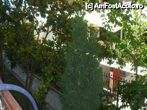 [P07] vedere din balcon » foto by ciobi2309
 - 
<span class="allrVoted glyphicon glyphicon-heart hidden" id="av423926"></span>
<a class="m-l-10 hidden" id="sv423926" onclick="voting_Foto_DelVot(,423926,11841)" role="button">șterge vot <span class="glyphicon glyphicon-remove"></span></a>
<a id="v9423926" class=" c-red"  onclick="voting_Foto_SetVot(423926)" role="button"><span class="glyphicon glyphicon-heart-empty"></span> <b>LIKE</b> = Votează poza</a> <img class="hidden"  id="f423926W9" src="/imagini/loader.gif" border="0" /><span class="AjErrMes hidden" id="e423926ErM"></span>