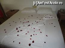 [P24]  -- <small>// FĂRĂ DESCRIERE</small> » foto by sc_ale*
 - 
<span class="allrVoted glyphicon glyphicon-heart hidden" id="av359487"></span>
<a class="m-l-10 hidden" id="sv359487" onclick="voting_Foto_DelVot(,359487,11847)" role="button">șterge vot <span class="glyphicon glyphicon-remove"></span></a>
<a id="v9359487" class=" c-red"  onclick="voting_Foto_SetVot(359487)" role="button"><span class="glyphicon glyphicon-heart-empty"></span> <b>LIKE</b> = Votează poza</a> <img class="hidden"  id="f359487W9" src="/imagini/loader.gif" border="0" /><span class="AjErrMes hidden" id="e359487ErM"></span>
