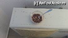 [P16] cereale cu lapte daca pofteste cineva, in momentul pozei aveau aproape o saptamana, probabil si acum se afla tot acolo » foto by adimtu
 - 
<span class="allrVoted glyphicon glyphicon-heart hidden" id="av334588"></span>
<a class="m-l-10 hidden" id="sv334588" onclick="voting_Foto_DelVot(,334588,11854)" role="button">șterge vot <span class="glyphicon glyphicon-remove"></span></a>
<a id="v9334588" class=" c-red"  onclick="voting_Foto_SetVot(334588)" role="button"><span class="glyphicon glyphicon-heart-empty"></span> <b>LIKE</b> = Votează poza</a> <img class="hidden"  id="f334588W9" src="/imagini/loader.gif" border="0" /><span class="AjErrMes hidden" id="e334588ErM"></span>