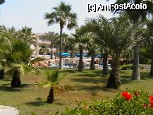 [P03] hotelul nissiana dinspre sosea » foto by CRY
 - 
<span class="allrVoted glyphicon glyphicon-heart hidden" id="av334489"></span>
<a class="m-l-10 hidden" id="sv334489" onclick="voting_Foto_DelVot(,334489,11855)" role="button">șterge vot <span class="glyphicon glyphicon-remove"></span></a>
<a id="v9334489" class=" c-red"  onclick="voting_Foto_SetVot(334489)" role="button"><span class="glyphicon glyphicon-heart-empty"></span> <b>LIKE</b> = Votează poza</a> <img class="hidden"  id="f334489W9" src="/imagini/loader.gif" border="0" /><span class="AjErrMes hidden" id="e334489ErM"></span>