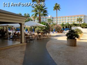 [P23] Spațiu exterior: Pool-Bar și Piscine. » foto by ovidiuyepi
 - 
<span class="allrVoted glyphicon glyphicon-heart hidden" id="av1524687"></span>
<a class="m-l-10 hidden" id="sv1524687" onclick="voting_Foto_DelVot(,1524687,11855)" role="button">șterge vot <span class="glyphicon glyphicon-remove"></span></a>
<a id="v91524687" class=" c-red"  onclick="voting_Foto_SetVot(1524687)" role="button"><span class="glyphicon glyphicon-heart-empty"></span> <b>LIKE</b> = Votează poza</a> <img class="hidden"  id="f1524687W9" src="/imagini/loader.gif" border="0" /><span class="AjErrMes hidden" id="e1524687ErM"></span>