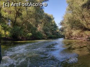 [P06]  -- <small>// FĂRĂ DESCRIERE</small> » foto by aguero
 - 
<span class="allrVoted glyphicon glyphicon-heart hidden" id="av1098303"></span>
<a class="m-l-10 hidden" id="sv1098303" onclick="voting_Foto_DelVot(,1098303,11876)" role="button">șterge vot <span class="glyphicon glyphicon-remove"></span></a>
<a id="v91098303" class=" c-red"  onclick="voting_Foto_SetVot(1098303)" role="button"><span class="glyphicon glyphicon-heart-empty"></span> <b>LIKE</b> = Votează poza</a> <img class="hidden"  id="f1098303W9" src="/imagini/loader.gif" border="0" /><span class="AjErrMes hidden" id="e1098303ErM"></span>