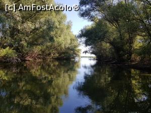 [P07]  -- <small>// FĂRĂ DESCRIERE</small> » foto by aguero
 - 
<span class="allrVoted glyphicon glyphicon-heart hidden" id="av1098304"></span>
<a class="m-l-10 hidden" id="sv1098304" onclick="voting_Foto_DelVot(,1098304,11876)" role="button">șterge vot <span class="glyphicon glyphicon-remove"></span></a>
<a id="v91098304" class=" c-red"  onclick="voting_Foto_SetVot(1098304)" role="button"><span class="glyphicon glyphicon-heart-empty"></span> <b>LIKE</b> = Votează poza</a> <img class="hidden"  id="f1098304W9" src="/imagini/loader.gif" border="0" /><span class="AjErrMes hidden" id="e1098304ErM"></span>