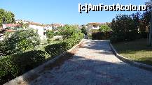 [P25]  ,,Ramificație ,,spre bungalow-uri » foto by bog68
 - 
<span class="allrVoted glyphicon glyphicon-heart hidden" id="av380265"></span>
<a class="m-l-10 hidden" id="sv380265" onclick="voting_Foto_DelVot(,380265,11877)" role="button">șterge vot <span class="glyphicon glyphicon-remove"></span></a>
<a id="v9380265" class=" c-red"  onclick="voting_Foto_SetVot(380265)" role="button"><span class="glyphicon glyphicon-heart-empty"></span> <b>LIKE</b> = Votează poza</a> <img class="hidden"  id="f380265W9" src="/imagini/loader.gif" border="0" /><span class="AjErrMes hidden" id="e380265ErM"></span>