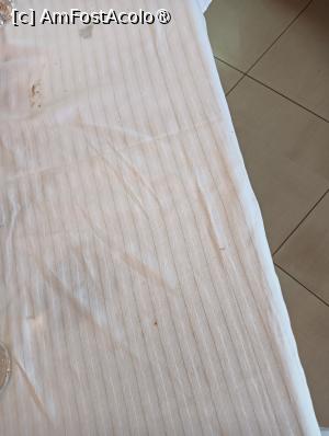 [P01] Fata de masa la prânz in ziua de Paste, neschimbata de 2 zile » foto by mango2000
 - 
<span class="allrVoted glyphicon glyphicon-heart hidden" id="av1482058"></span>
<a class="m-l-10 hidden" id="sv1482058" onclick="voting_Foto_DelVot(,1482058,11878)" role="button">șterge vot <span class="glyphicon glyphicon-remove"></span></a>
<a id="v91482058" class=" c-red"  onclick="voting_Foto_SetVot(1482058)" role="button"><span class="glyphicon glyphicon-heart-empty"></span> <b>LIKE</b> = Votează poza</a> <img class="hidden"  id="f1482058W9" src="/imagini/loader.gif" border="0" /><span class="AjErrMes hidden" id="e1482058ErM"></span>