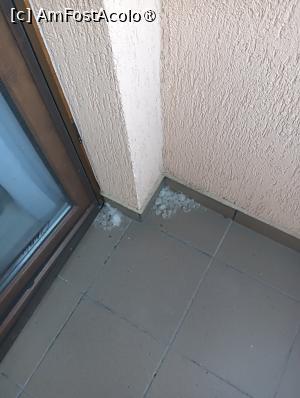 [P03] Mizerie pe balcon » foto by mango2000
 - 
<span class="allrVoted glyphicon glyphicon-heart hidden" id="av1482060"></span>
<a class="m-l-10 hidden" id="sv1482060" onclick="voting_Foto_DelVot(,1482060,11878)" role="button">șterge vot <span class="glyphicon glyphicon-remove"></span></a>
<a id="v91482060" class=" c-red"  onclick="voting_Foto_SetVot(1482060)" role="button"><span class="glyphicon glyphicon-heart-empty"></span> <b>LIKE</b> = Votează poza</a> <img class="hidden"  id="f1482060W9" src="/imagini/loader.gif" border="0" /><span class="AjErrMes hidden" id="e1482060ErM"></span>