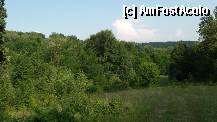 [P22] Câteva peisaje din zonă.  » foto by Dragoș_MD
 - 
<span class="allrVoted glyphicon glyphicon-heart hidden" id="av335357"></span>
<a class="m-l-10 hidden" id="sv335357" onclick="voting_Foto_DelVot(,335357,11881)" role="button">șterge vot <span class="glyphicon glyphicon-remove"></span></a>
<a id="v9335357" class=" c-red"  onclick="voting_Foto_SetVot(335357)" role="button"><span class="glyphicon glyphicon-heart-empty"></span> <b>LIKE</b> = Votează poza</a> <img class="hidden"  id="f335357W9" src="/imagini/loader.gif" border="0" /><span class="AjErrMes hidden" id="e335357ErM"></span>