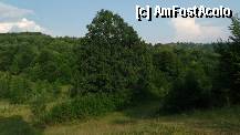 [P25] Câteva peisaje din zonă.  » foto by Dragoș_MD
 - 
<span class="allrVoted glyphicon glyphicon-heart hidden" id="av335360"></span>
<a class="m-l-10 hidden" id="sv335360" onclick="voting_Foto_DelVot(,335360,11881)" role="button">șterge vot <span class="glyphicon glyphicon-remove"></span></a>
<a id="v9335360" class=" c-red"  onclick="voting_Foto_SetVot(335360)" role="button"><span class="glyphicon glyphicon-heart-empty"></span> <b>LIKE</b> = Votează poza</a> <img class="hidden"  id="f335360W9" src="/imagini/loader.gif" border="0" /><span class="AjErrMes hidden" id="e335360ErM"></span>