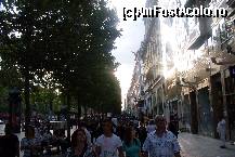 [P04] Aglomeraţie maximă pe Champs-Élysées » foto by Ovidiu istorie
 - 
<span class="allrVoted glyphicon glyphicon-heart hidden" id="av319983"></span>
<a class="m-l-10 hidden" id="sv319983" onclick="voting_Foto_DelVot(,319983,11886)" role="button">șterge vot <span class="glyphicon glyphicon-remove"></span></a>
<a id="v9319983" class=" c-red"  onclick="voting_Foto_SetVot(319983)" role="button"><span class="glyphicon glyphicon-heart-empty"></span> <b>LIKE</b> = Votează poza</a> <img class="hidden"  id="f319983W9" src="/imagini/loader.gif" border="0" /><span class="AjErrMes hidden" id="e319983ErM"></span>