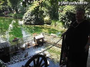 [P19] Unul din izvoarele care alimentau lacul Ohrid!  » foto by balasa violeta
 - 
<span class="allrVoted glyphicon glyphicon-heart hidden" id="av664665"></span>
<a class="m-l-10 hidden" id="sv664665" onclick="voting_Foto_DelVot(,664665,11922)" role="button">șterge vot <span class="glyphicon glyphicon-remove"></span></a>
<a id="v9664665" class=" c-red"  onclick="voting_Foto_SetVot(664665)" role="button"><span class="glyphicon glyphicon-heart-empty"></span> <b>LIKE</b> = Votează poza</a> <img class="hidden"  id="f664665W9" src="/imagini/loader.gif" border="0" /><span class="AjErrMes hidden" id="e664665ErM"></span>
