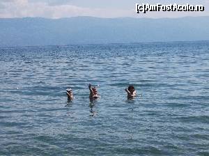 [P03] Lacul Ohrid si cele trei lebede!  » foto by balasa violeta
 - 
<span class="allrVoted glyphicon glyphicon-heart hidden" id="av664627"></span>
<a class="m-l-10 hidden" id="sv664627" onclick="voting_Foto_DelVot(,664627,11922)" role="button">șterge vot <span class="glyphicon glyphicon-remove"></span></a>
<a id="v9664627" class=" c-red"  onclick="voting_Foto_SetVot(664627)" role="button"><span class="glyphicon glyphicon-heart-empty"></span> <b>LIKE</b> = Votează poza</a> <img class="hidden"  id="f664627W9" src="/imagini/loader.gif" border="0" /><span class="AjErrMes hidden" id="e664627ErM"></span>