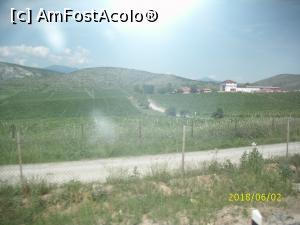 [P27] Una din multele plantații cu viță de vie (foarte vie, după cum se vede) !  » foto by puiutea
 - 
<span class="allrVoted glyphicon glyphicon-heart hidden" id="av975810"></span>
<a class="m-l-10 hidden" id="sv975810" onclick="voting_Foto_DelVot(,975810,11922)" role="button">șterge vot <span class="glyphicon glyphicon-remove"></span></a>
<a id="v9975810" class=" c-red"  onclick="voting_Foto_SetVot(975810)" role="button"><span class="glyphicon glyphicon-heart-empty"></span> <b>LIKE</b> = Votează poza</a> <img class="hidden"  id="f975810W9" src="/imagini/loader.gif" border="0" /><span class="AjErrMes hidden" id="e975810ErM"></span>