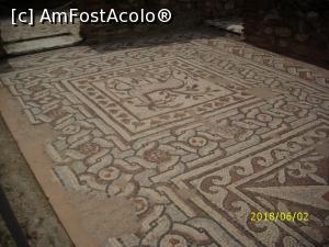 [P32] Chiar dacă nu se vede bine, culorile sunt foarte bine păstrate » foto by puiutea
 - 
<span class="allrVoted glyphicon glyphicon-heart hidden" id="av975815"></span>
<a class="m-l-10 hidden" id="sv975815" onclick="voting_Foto_DelVot(,975815,11922)" role="button">șterge vot <span class="glyphicon glyphicon-remove"></span></a>
<a id="v9975815" class=" c-red"  onclick="voting_Foto_SetVot(975815)" role="button"><span class="glyphicon glyphicon-heart-empty"></span> <b>LIKE</b> = Votează poza</a> <img class="hidden"  id="f975815W9" src="/imagini/loader.gif" border="0" /><span class="AjErrMes hidden" id="e975815ErM"></span>