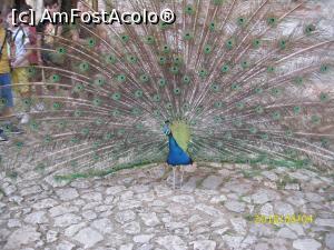 [P31] Alt locatar, altă culoare!  » foto by puiutea
 - 
<span class="allrVoted glyphicon glyphicon-heart hidden" id="av976858"></span>
<a class="m-l-10 hidden" id="sv976858" onclick="voting_Foto_DelVot(,976858,11922)" role="button">șterge vot <span class="glyphicon glyphicon-remove"></span></a>
<a id="v9976858" class=" c-red"  onclick="voting_Foto_SetVot(976858)" role="button"><span class="glyphicon glyphicon-heart-empty"></span> <b>LIKE</b> = Votează poza</a> <img class="hidden"  id="f976858W9" src="/imagini/loader.gif" border="0" /><span class="AjErrMes hidden" id="e976858ErM"></span>
