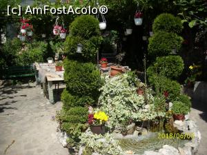 [P08] În Cetate, micuța grădină a unei bisericuțe.  » foto by puiutea
 - 
<span class="allrVoted glyphicon glyphicon-heart hidden" id="av976835"></span>
<a class="m-l-10 hidden" id="sv976835" onclick="voting_Foto_DelVot(,976835,11922)" role="button">șterge vot <span class="glyphicon glyphicon-remove"></span></a>
<a id="v9976835" class=" c-red"  onclick="voting_Foto_SetVot(976835)" role="button"><span class="glyphicon glyphicon-heart-empty"></span> <b>LIKE</b> = Votează poza</a> <img class="hidden"  id="f976835W9" src="/imagini/loader.gif" border="0" /><span class="AjErrMes hidden" id="e976835ErM"></span>