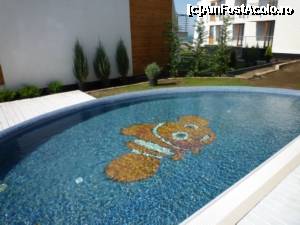 [P09] Piscina » foto by Muffin2009*
 - 
<span class="allrVoted glyphicon glyphicon-heart hidden" id="av337143"></span>
<a class="m-l-10 hidden" id="sv337143" onclick="voting_Foto_DelVot(,337143,11932)" role="button">șterge vot <span class="glyphicon glyphicon-remove"></span></a>
<a id="v9337143" class=" c-red"  onclick="voting_Foto_SetVot(337143)" role="button"><span class="glyphicon glyphicon-heart-empty"></span> <b>LIKE</b> = Votează poza</a> <img class="hidden"  id="f337143W9" src="/imagini/loader.gif" border="0" /><span class="AjErrMes hidden" id="e337143ErM"></span>