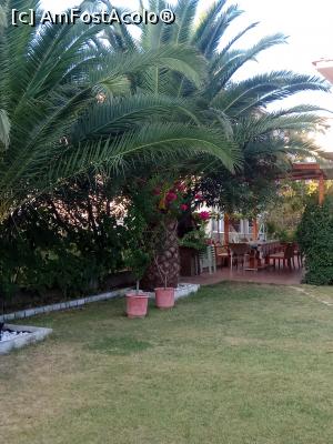 [P06] Gradina vilei » foto by flori_floricika
 - 
<span class="allrVoted glyphicon glyphicon-heart hidden" id="av1021811"></span>
<a class="m-l-10 hidden" id="sv1021811" onclick="voting_Foto_DelVot(,1021811,11956)" role="button">șterge vot <span class="glyphicon glyphicon-remove"></span></a>
<a id="v91021811" class=" c-red"  onclick="voting_Foto_SetVot(1021811)" role="button"><span class="glyphicon glyphicon-heart-empty"></span> <b>LIKE</b> = Votează poza</a> <img class="hidden"  id="f1021811W9" src="/imagini/loader.gif" border="0" /><span class="AjErrMes hidden" id="e1021811ErM"></span>