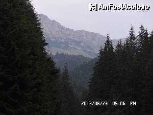 [P03] rezervatia Bucegi » foto by csaszar78
 - 
<span class="allrVoted glyphicon glyphicon-heart hidden" id="av469824"></span>
<a class="m-l-10 hidden" id="sv469824" onclick="voting_Foto_DelVot(,469824,11987)" role="button">șterge vot <span class="glyphicon glyphicon-remove"></span></a>
<a id="v9469824" class=" c-red"  onclick="voting_Foto_SetVot(469824)" role="button"><span class="glyphicon glyphicon-heart-empty"></span> <b>LIKE</b> = Votează poza</a> <img class="hidden"  id="f469824W9" src="/imagini/loader.gif" border="0" /><span class="AjErrMes hidden" id="e469824ErM"></span>