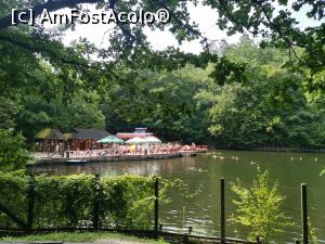 [P12] Lacul Alunis  » foto by dorgo
 - 
<span class="allrVoted glyphicon glyphicon-heart hidden" id="av1390173"></span>
<a class="m-l-10 hidden" id="sv1390173" onclick="voting_Foto_DelVot(,1390173,12021)" role="button">șterge vot <span class="glyphicon glyphicon-remove"></span></a>
<a id="v91390173" class=" c-red"  onclick="voting_Foto_SetVot(1390173)" role="button"><span class="glyphicon glyphicon-heart-empty"></span> <b>LIKE</b> = Votează poza</a> <img class="hidden"  id="f1390173W9" src="/imagini/loader.gif" border="0" /><span class="AjErrMes hidden" id="e1390173ErM"></span>
