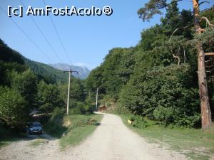 [P02] Intrăm pe drumul forestier pe Valea Păușei; în prima parte a drumului, am trecut pe lângă mai multe grupuri de oameni ieșiți la iarbă verde în această zonă.  » foto by Floryn81
 - 
<span class="allrVoted glyphicon glyphicon-heart hidden" id="av739565"></span>
<a class="m-l-10 hidden" id="sv739565" onclick="voting_Foto_DelVot(,739565,12025)" role="button">șterge vot <span class="glyphicon glyphicon-remove"></span></a>
<a id="v9739565" class=" c-red"  onclick="voting_Foto_SetVot(739565)" role="button"><span class="glyphicon glyphicon-heart-empty"></span> <b>LIKE</b> = Votează poza</a> <img class="hidden"  id="f739565W9" src="/imagini/loader.gif" border="0" /><span class="AjErrMes hidden" id="e739565ErM"></span>